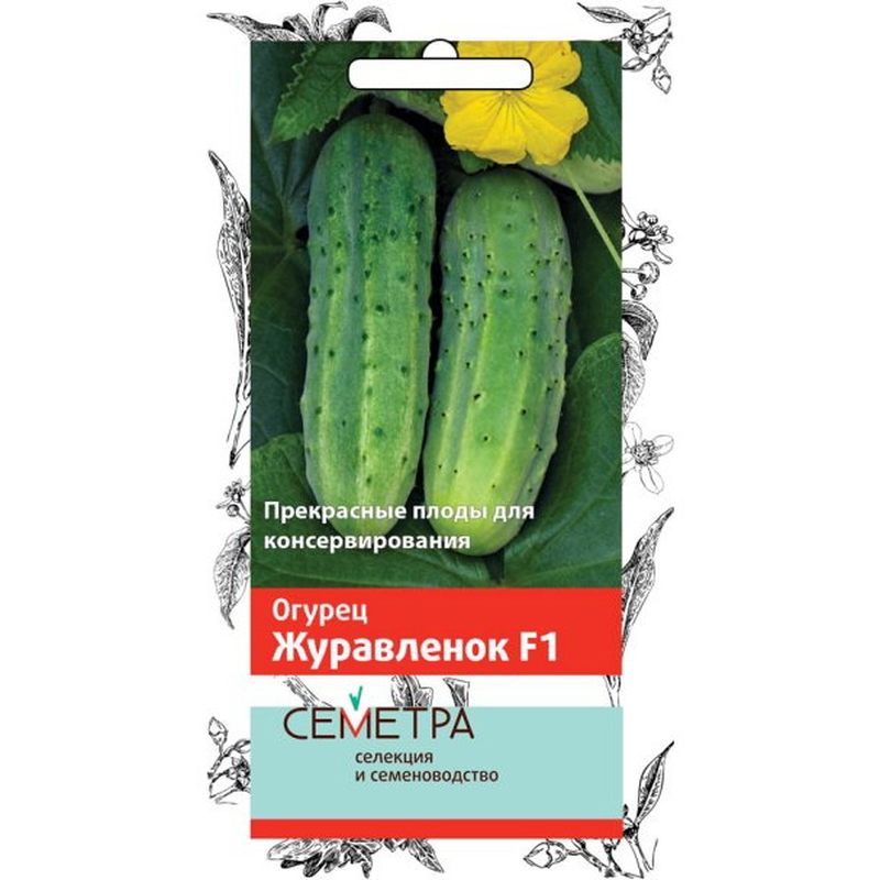 Огурец ЖУРАВЛЕНОК F1 0,5гр. (Семетра) (Поиск)
