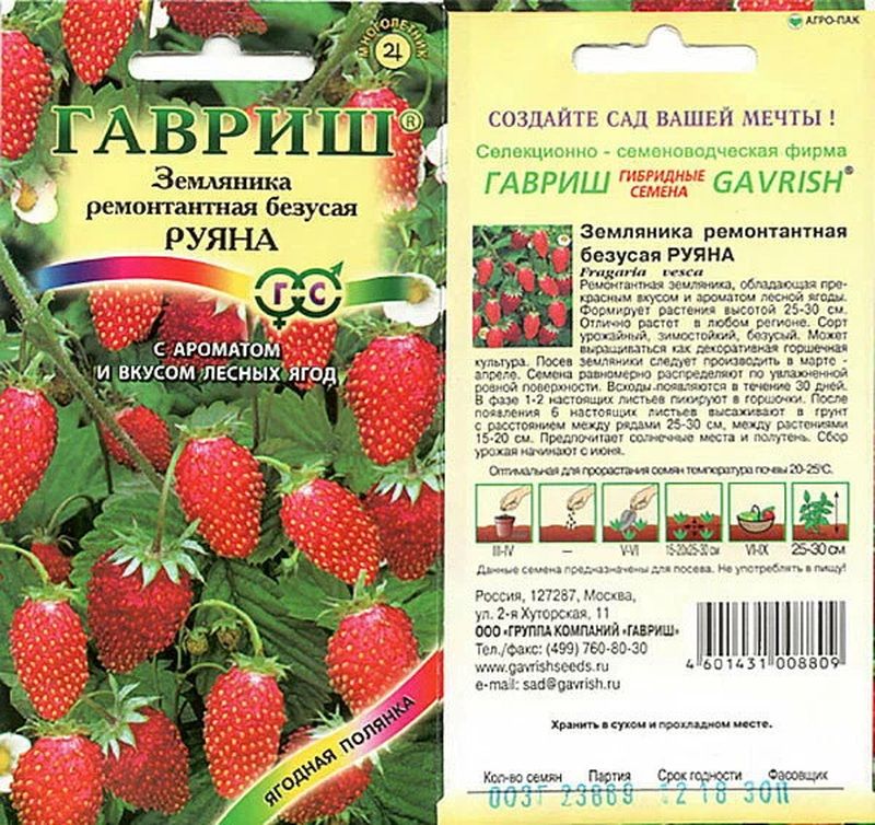 Земляника РУЯНА 0,03гр. (ремонтантная безусая) (Гавриш)