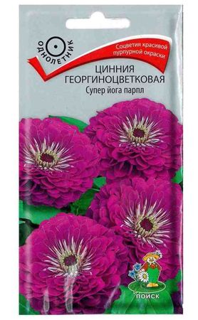Цинния георгиноцветковая МЕЧТА (однолетник) 0,4гр. (Поиск)