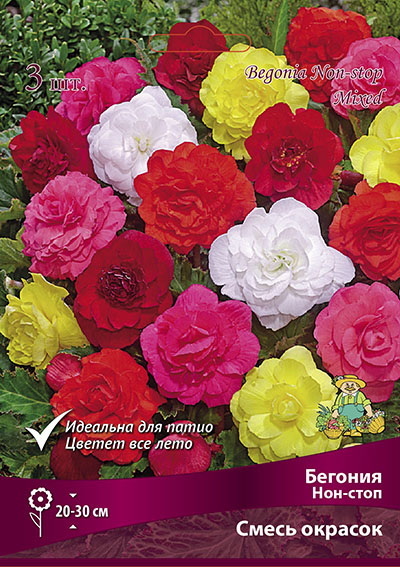 Бегония Нон-стоп СМЕСЬ ОКРАСОК 3шт. Поиск