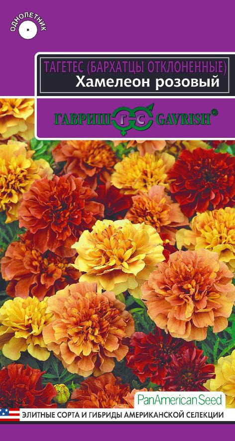 Бархатцы отклоненные ХАМЕЛЕОН розовый  5шт. (Гавриш)