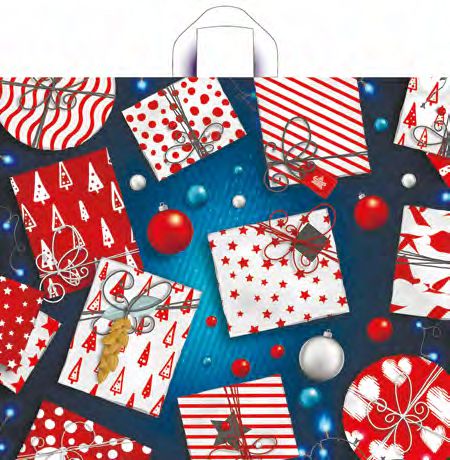 Пакет (петлевая руч.) 500*600мм. Яркие подарки 205575 Т-П