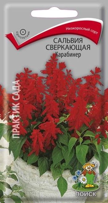 Сальвия сверкающая КАРАБИНЕР 0,1гр. (Поиск)