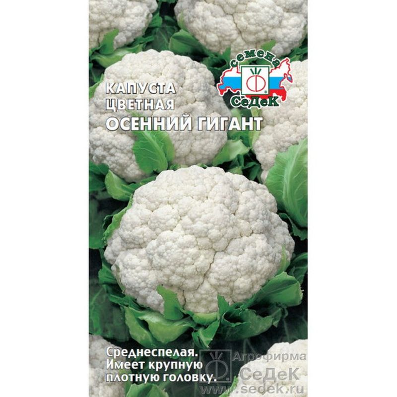 Капуста цветная ОСЕННИЙ ГИГАНТ 0,5г. (СеДек)