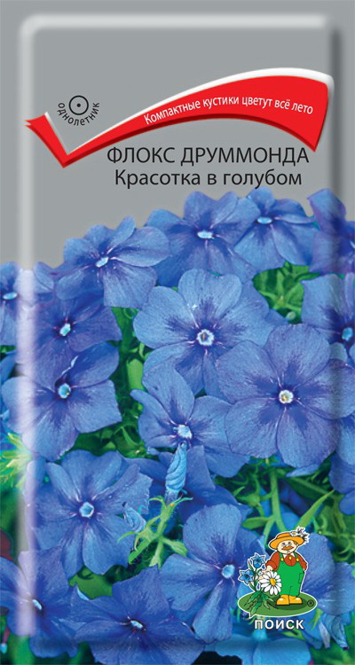 Флокс друммонда КРАСОТКА В ГОЛУБОМ 0,1гр. (Поиск)