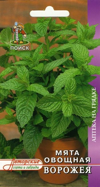 Мята ВОРОЖЕЯ 0,1гр. (Поиск)