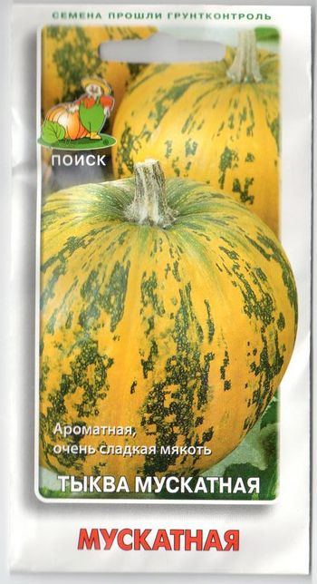 Тыква ЖЕМЧУЖИНА мускатная 10шт. (Поиск)