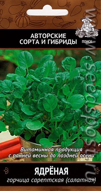 Горчица ЯДРЁНАЯ сарептская (салатная) 1,0гр. (Поиск)