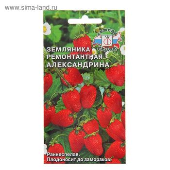 Земляника АЛЕКСАНДРИНА (ремонтантная, мелкоплодная) 0,04гр. (СеДек)