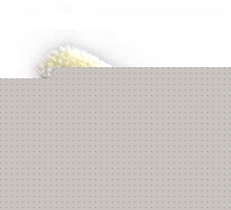 Щетка одежная 01с2-30