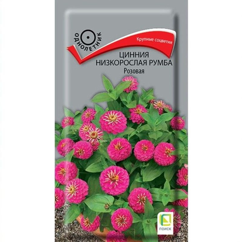 Цинния низкорослая РУМБА розовая 0,1гр. (Поиск)