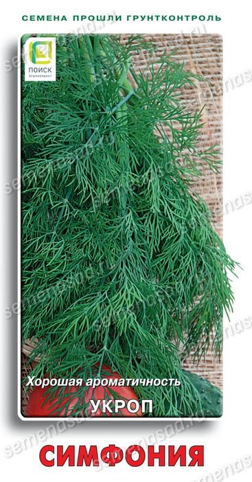 Укроп СИМФОНИЯ 3гр. (Семетра) (Поиск)