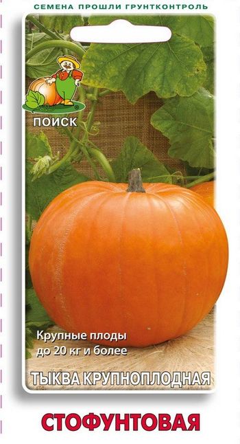 Тыква СТОФУНТОВАЯ крупноплодная 10шт. (Поиск)