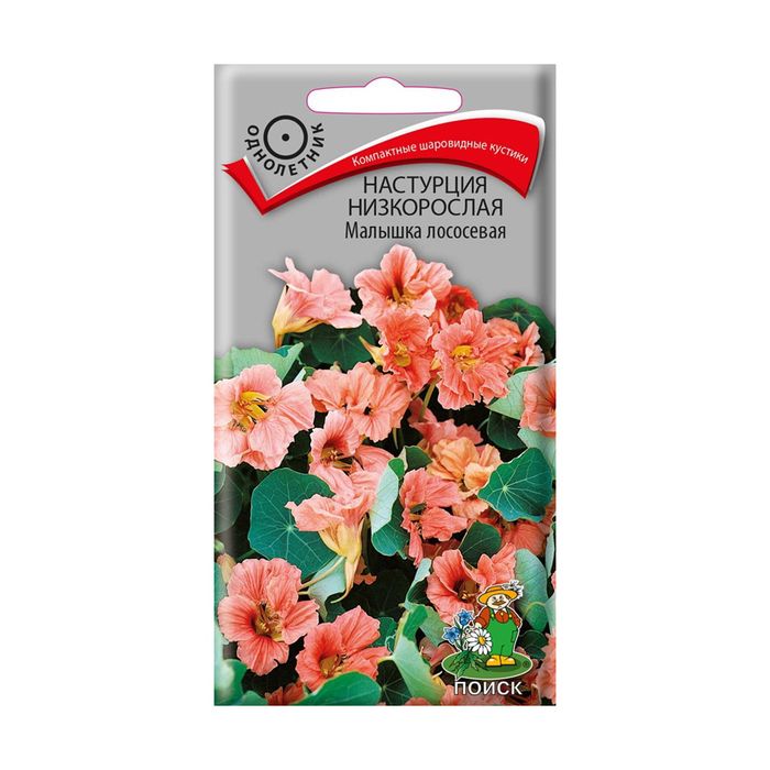 Настурция низкорослая МАЛЫШКА лососевая  1 гр (Поиск)
