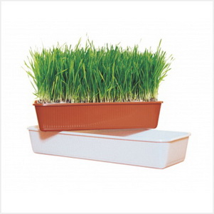 Ящик д/рассады 285*155*85мм. М6658 .