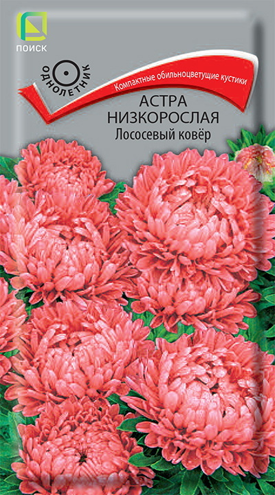 Астра Низкорослая ЛОСОСЕВЫЙ КОВЕР 0,2гр. (Поиск)