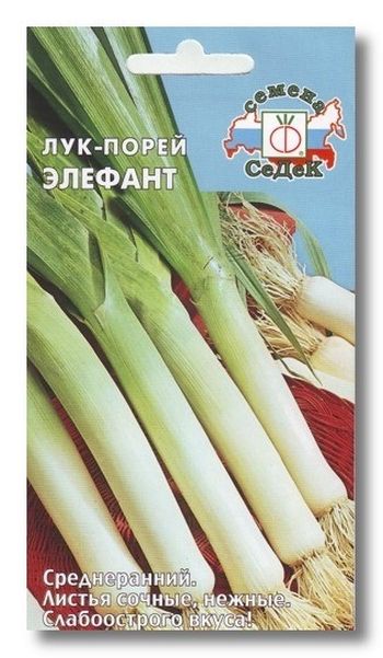 Лук порей ЭЛЕФАНТ МС 1,0гр. (СеДек)