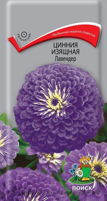 Цинния изящная ЛАВЕНДЕР 0,4гр. (Поиск)