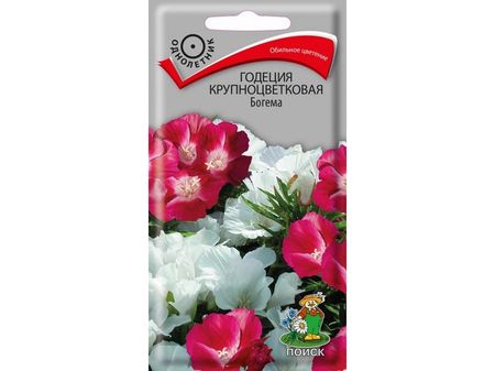 Годеция крупноцветковая БОГЕМА 0,2гр. (Поиск)