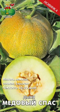 Дыня МЕДОВЫЙ СПАС 10шт. (Поиск)