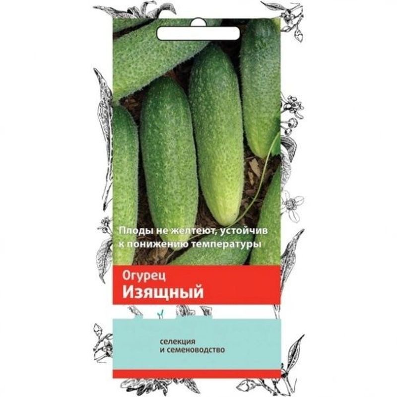 Огурец ИЗЯЩНЫЙ 0,5гр. (Семетра) (Поиск)