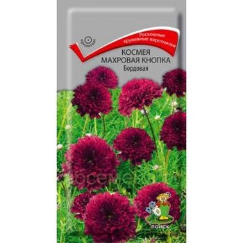 Космея Махровая КНОПКА бордовая 0,1гр. (Поиск)