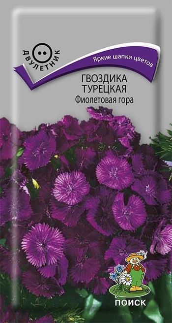 Гвоздика Турецкая ФИОЛЕТОВАЯ ГОРА 0,25гр. двулетник (Поиск)