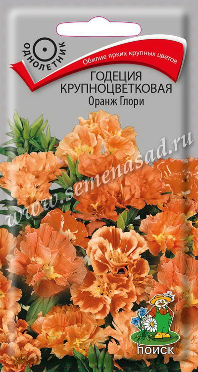 Годеция крупноцветковая ОРАНЖ ГЛОРИ 0,2гр. (Поиск)
