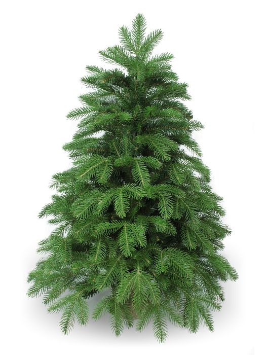 Ель "ANSON" 0,9м. 1031909 .