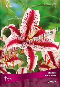 Лилия Восточная ДИЗЗИ 3шт. (белый с широкой малин.полос. и густым малиновым крапом) Поиск