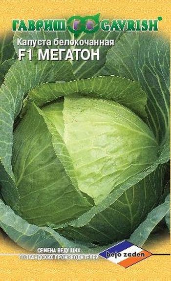 Капуста белокоч. МЕГАТОН F1 10шт. д/квашения (Голландия) Н11 (Гавриш)