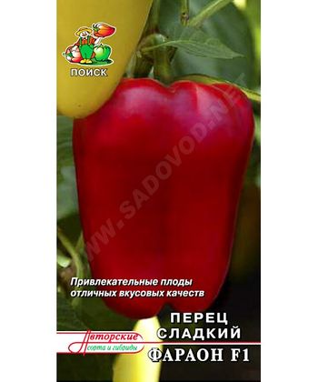 Перец сладкий ФАРАОН F1 12шт. (Поиск)