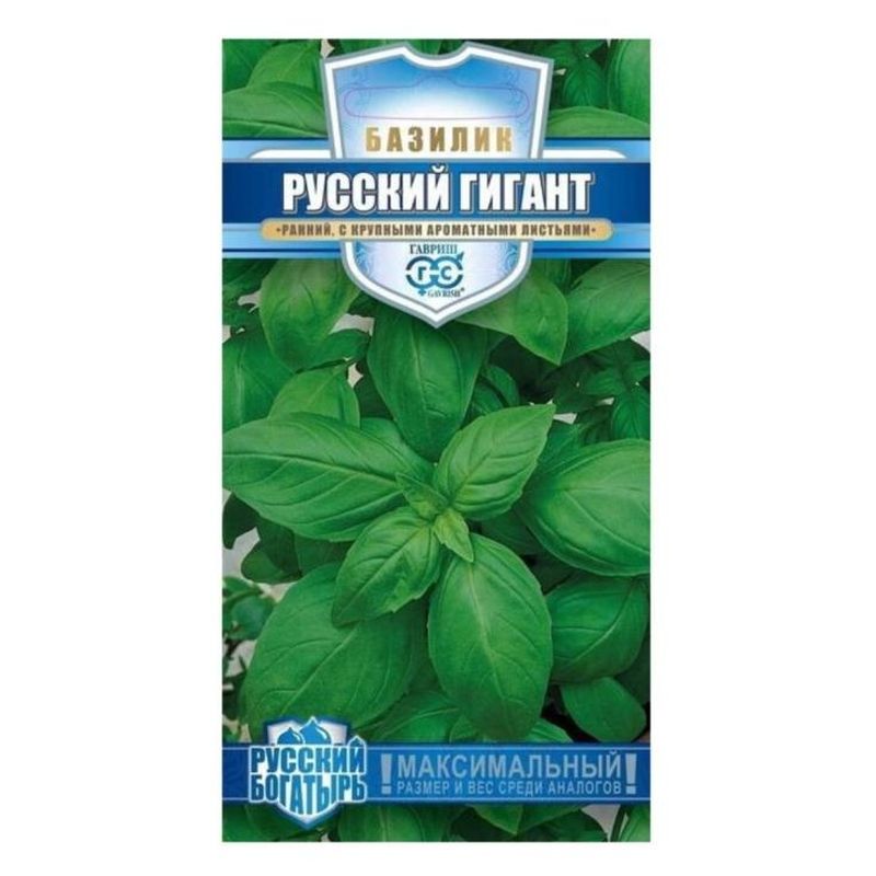 Базилик РУССКИЙ ГИГАНТ, зеленый 0,1г. (Гавриш)