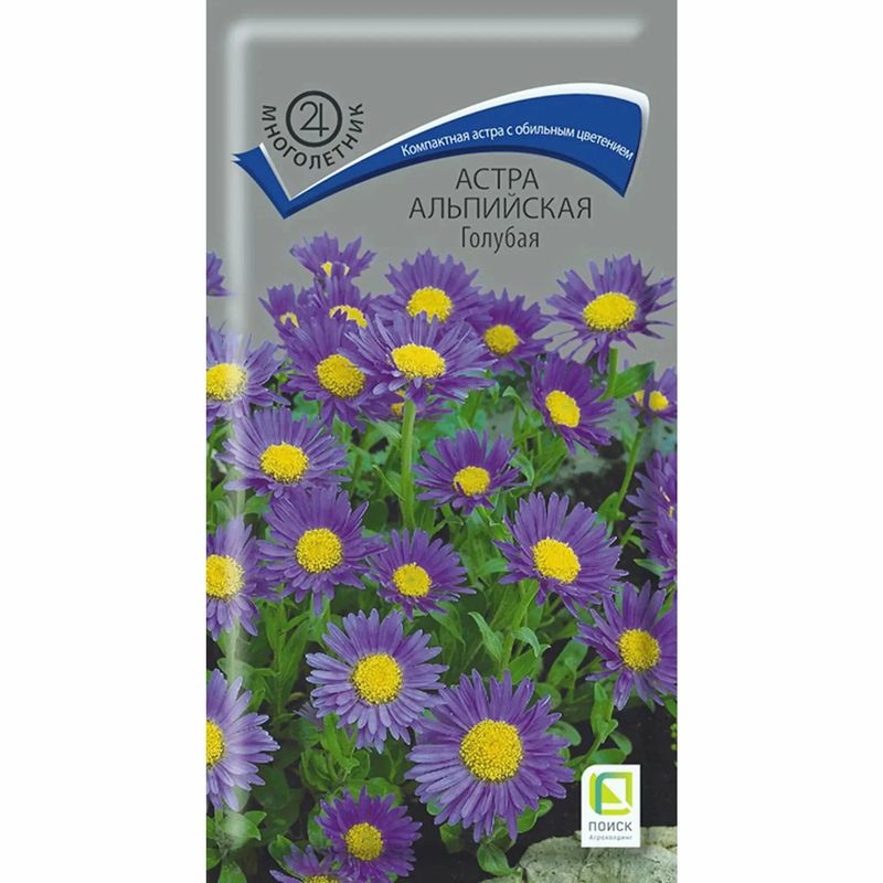 Астра АЛЬПИЙСКАЯ голубая 0,04гр. многолетник (Поиск)