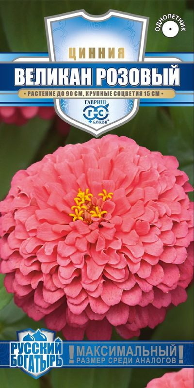 Цинния ВЕЛИКАН розовый 0,3гр. (Гавриш)