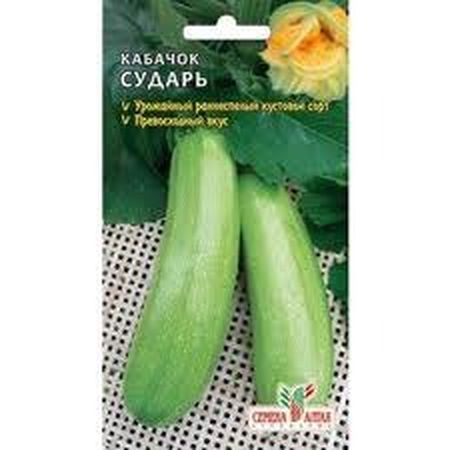 Кабачок СУДАРЬ 12шт. (Поиск)