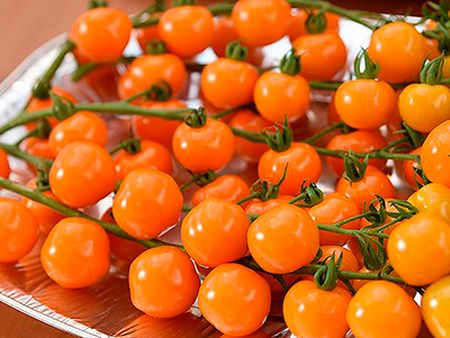 Томат ОРАНЖЕВАЯ ГИРЛЯНДА F1 12шт. (Поиск)