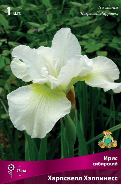 Ирис сибирский ХАРПВЕЛЛ ХЕППИНЕСС Поиск