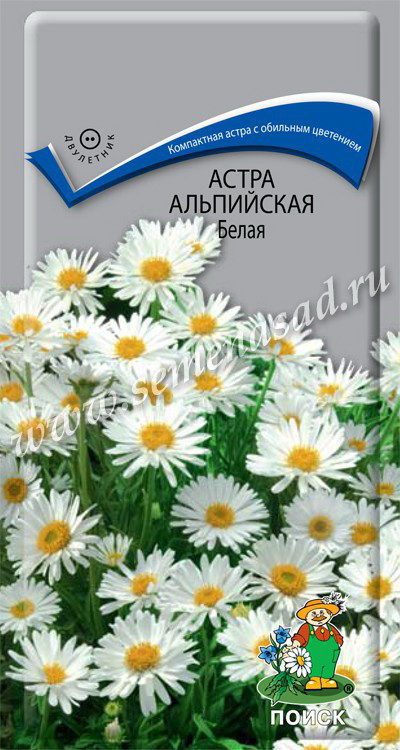 Астра АЛЬПИЙСКАЯ белая 0,04гр. многолетник (Поиск)