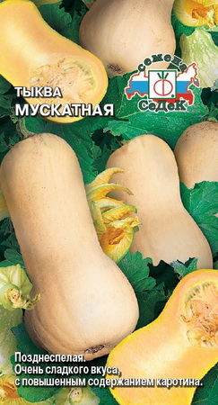 Тыква МУСКАТНАЯ ПРОВАНСКАЯ 1,0гр. (СеДек)