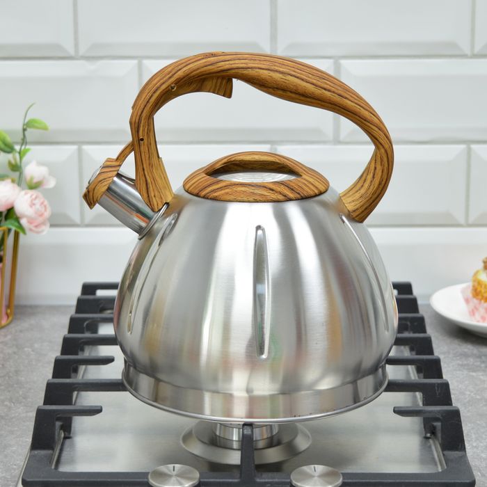 Чайник нерж. HM 55157 3,0л. со свист. ХМ