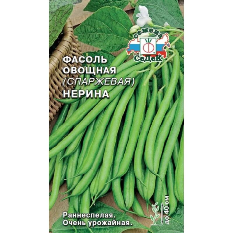 Фасоль НЕРИНА (спаржевая) 5г. (СеДек)