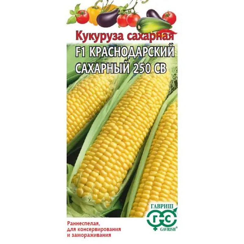 Кукуруза КРАСНОДАРСКИЙ САХАРНЫЙ 250 СВ F1  5,0гр. (Гавриш)