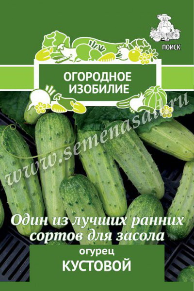 Огурец КУСТОВОЙ 0,5гр. (Огородное изобилие)(Поиск)