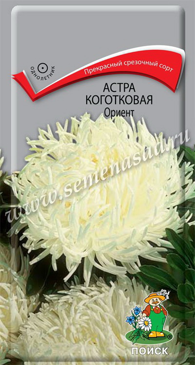 Астра Коготковая ОРИЕНТ 0,3гр. (Поиск)