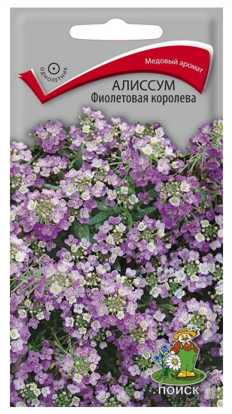 Алиссум ФИОЛЕТОВАЯ КОРОЛЕВА 0,3гр. (Поиск)
