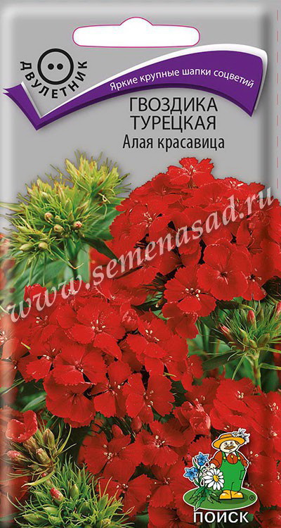 Гвоздика Турецкая АЛАЯ КРАСАВИЦА 0,5гр. двулетник (Поиск)