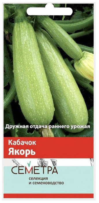 Кабачок ЯКОРЬ 2гр. (Семетра) (Поиск)