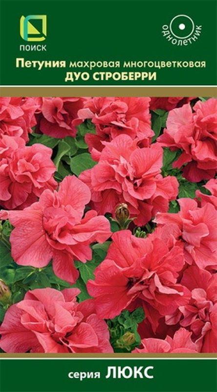 Петуния махровая многоцветковая ДУО СТРОБЕРРИ 10шт (Поиск)