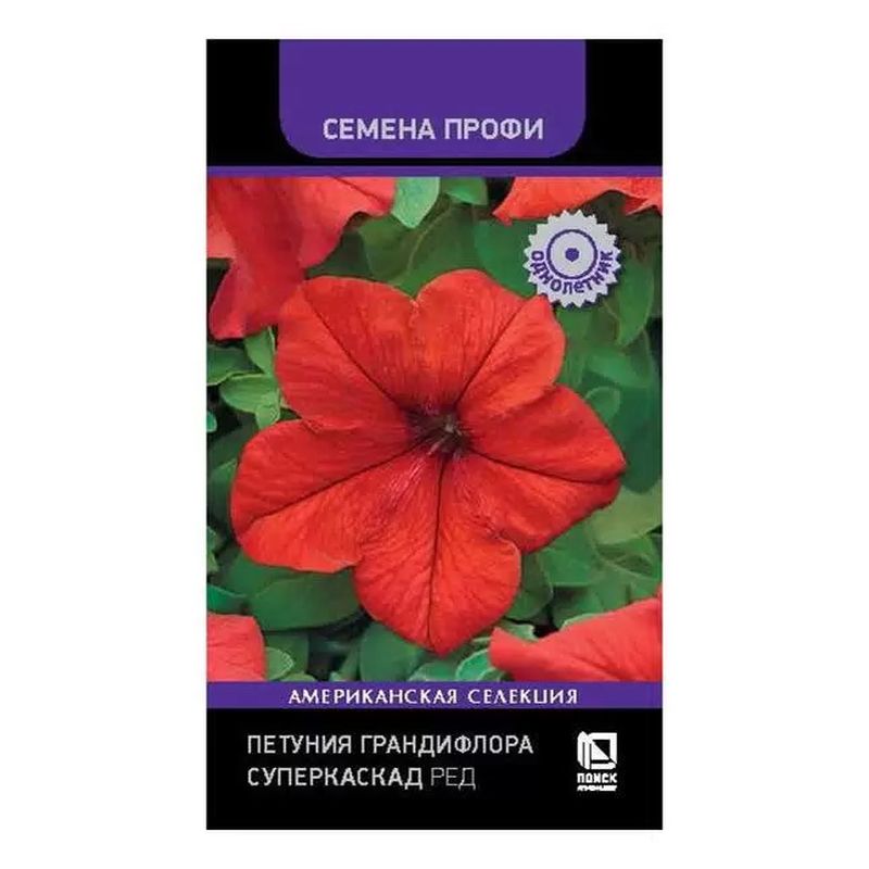 Петуния грандифлора СУПЕРКАСКАД РЕД 10 шт. (Поиск)